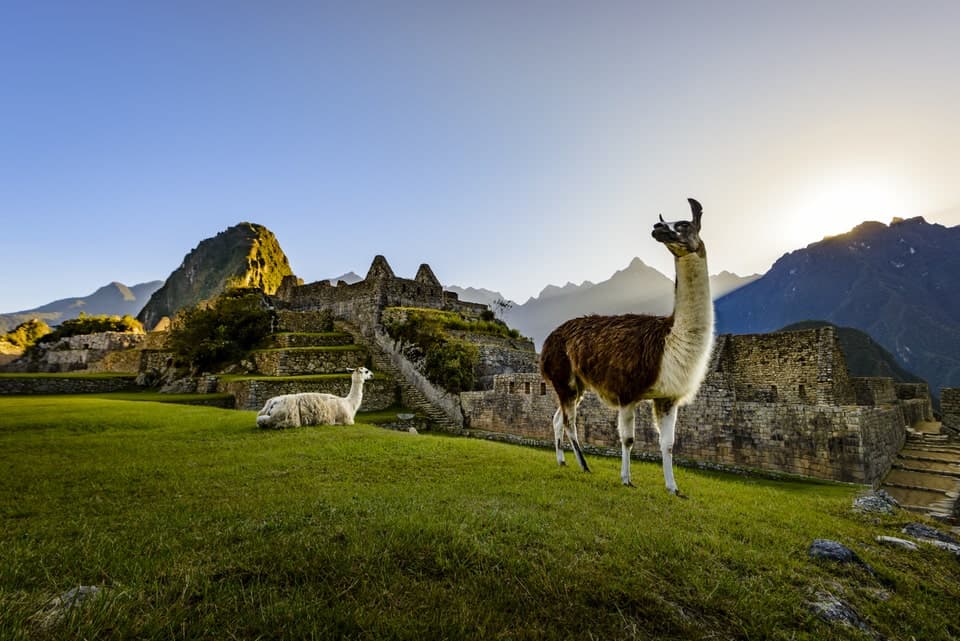Machu Picchu 2 días 1 noche por tren summary 1