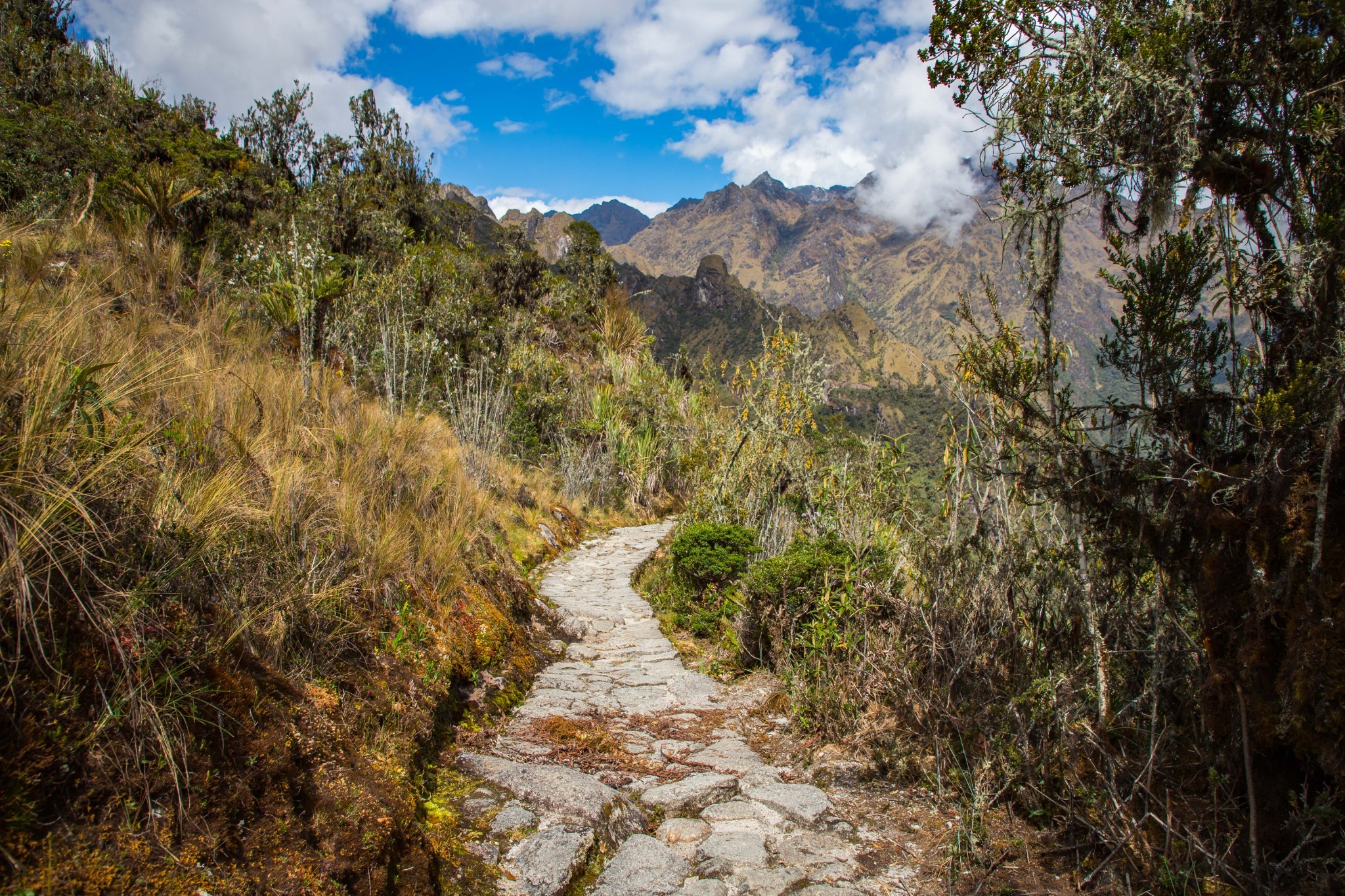 Camino Inca a Machu Picchu 4 Días